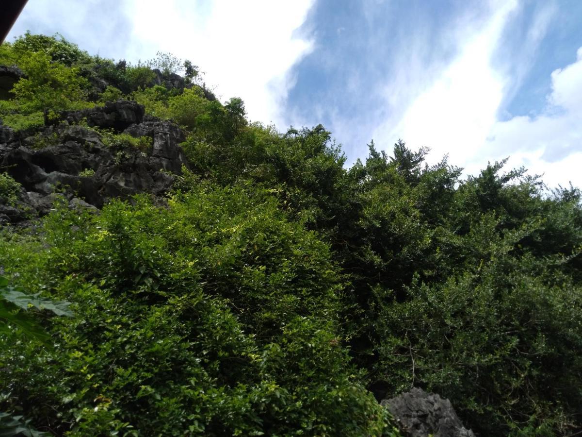 Ali Homestay Ninh Binh Exteriér fotografie